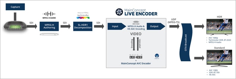 Globo workflow (no border)